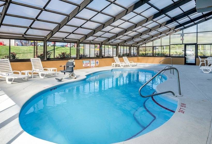 酒店 Quality Inn & Suites