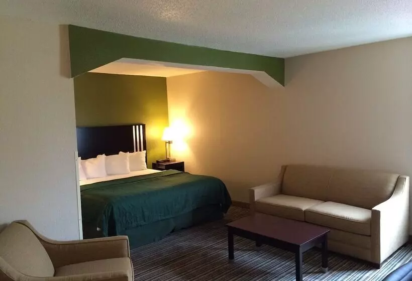 Hotel Quality Inn & Suites