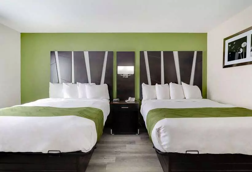 Hotel Quality Suites Albuquerque Airport