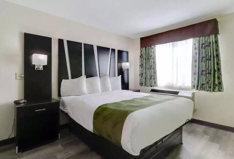 Hotel Quality Suites Albuquerque Airport