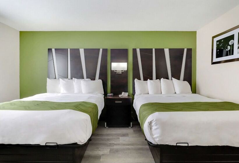 فندق Quality Suites Albuquerque Airport