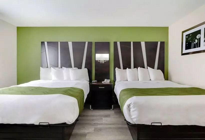 Hotel Quality Suites Albuquerque Airport