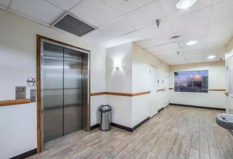 בית מלון כפרי Red Roof Inn Ocala