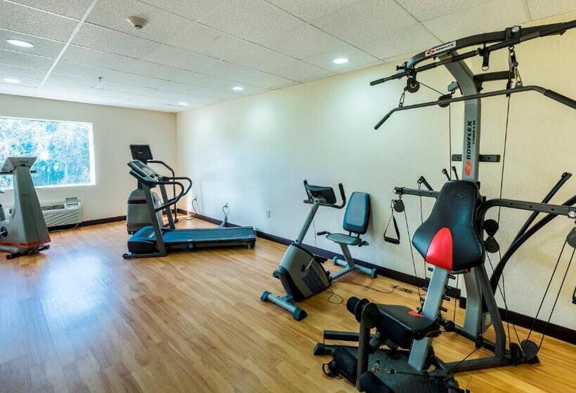 Hotel Red Roof Inn Ocala