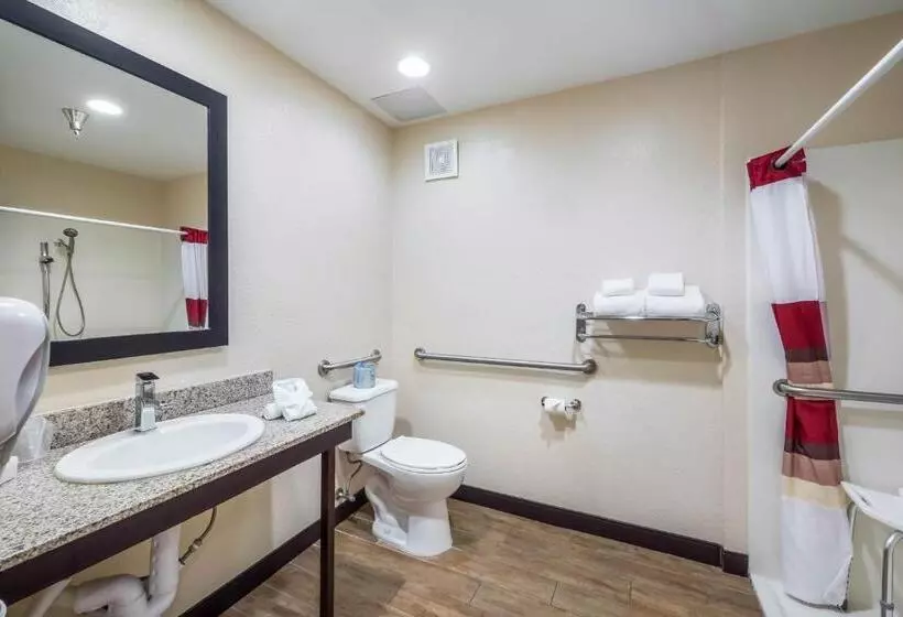 בית מלון כפרי Red Roof Inn Ocala