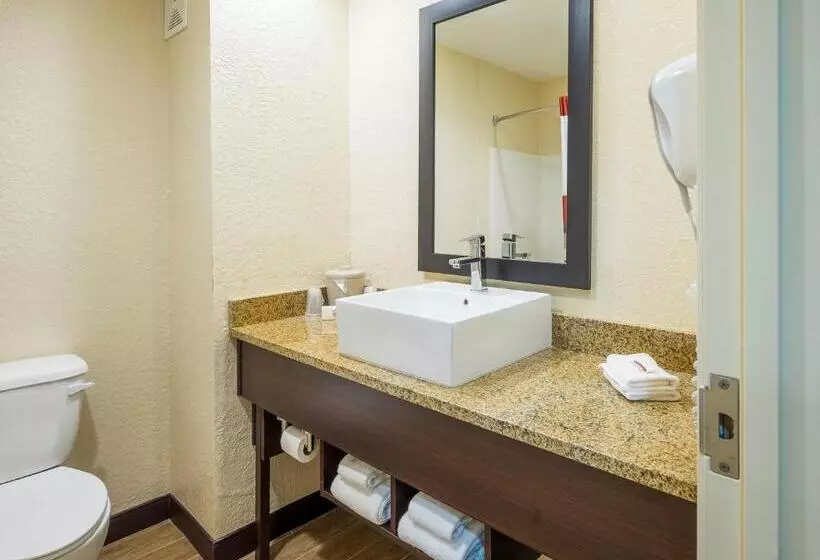 בית מלון כפרי Red Roof Inn Ocala