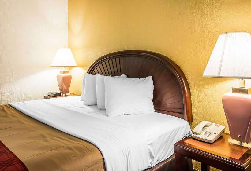 Отель Rodeway Inn & Suites