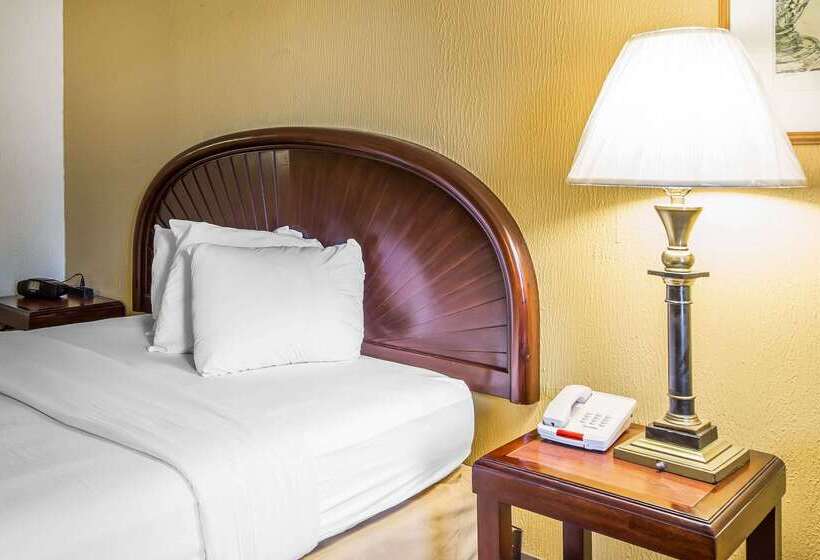 Отель Rodeway Inn & Suites