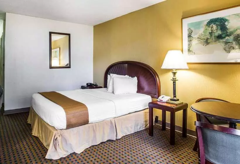 酒店 Rodeway Inn & Suites