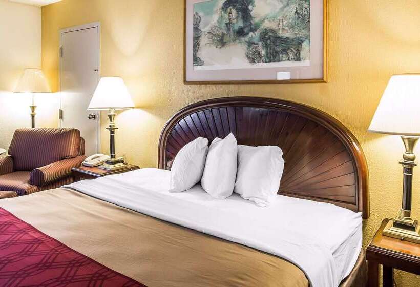 Отель Rodeway Inn & Suites