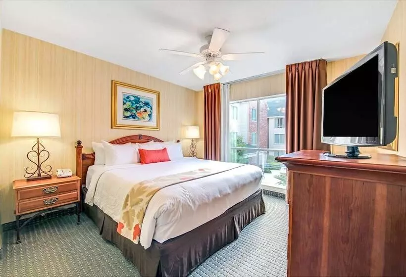 בית מלון כפרי Sonesta Es Suites Dallas Park Central