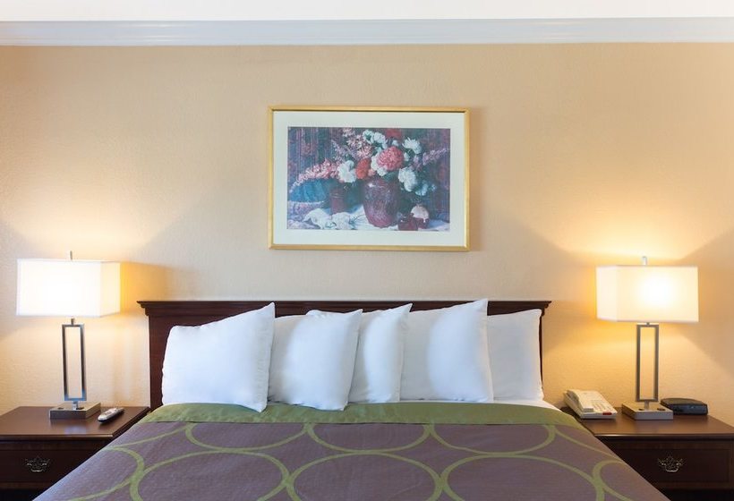 فندق Steinbeck Lodge