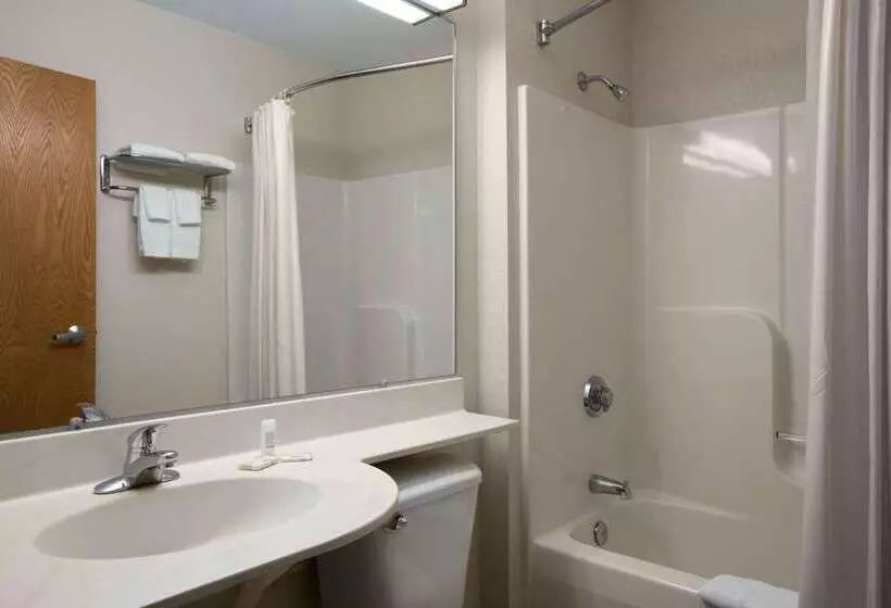 Microtel Inn By Wyndham Champaign