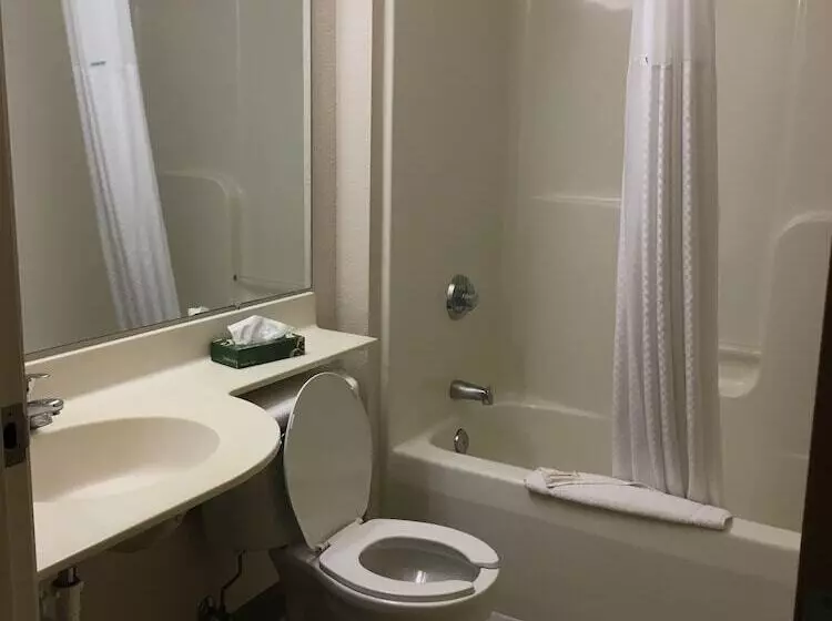 Microtel Inn By Wyndham Champaign