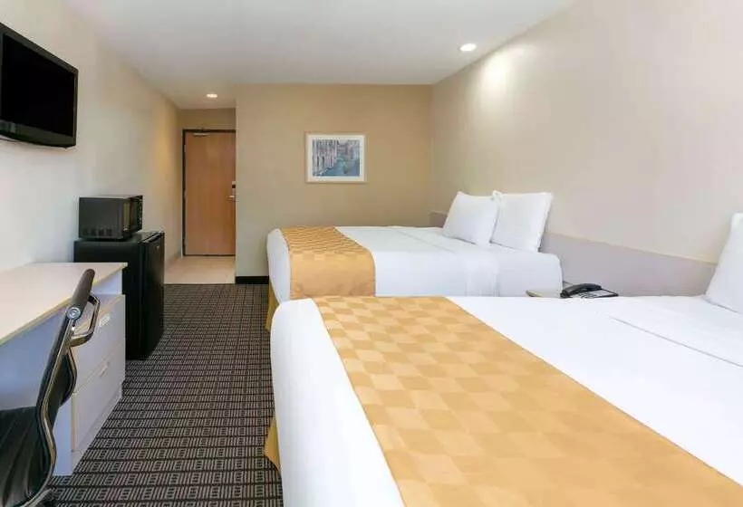 Microtel Inn & Suites By Wyndham Arlington/dallas Area
