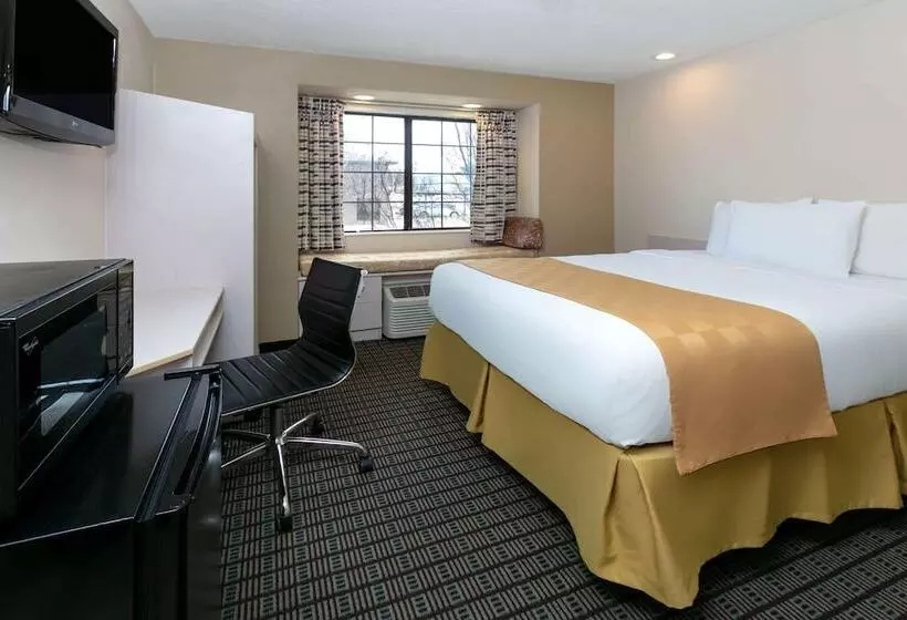 Microtel Inn & Suites By Wyndham Arlington/dallas Area