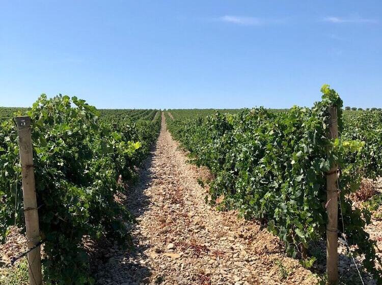 Bed and Breakfast Logement Onze Chambres&gîtes