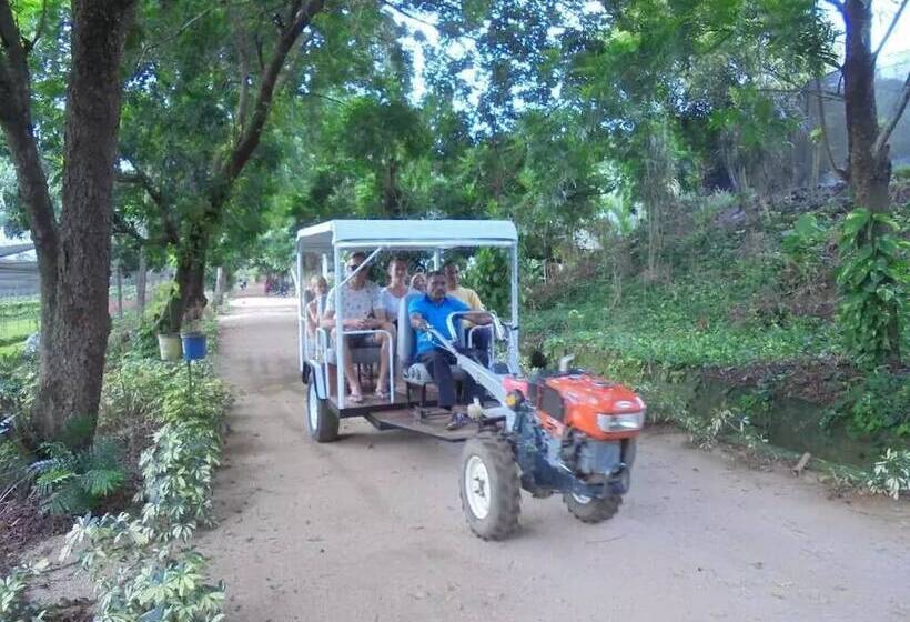 ベッドアンドブレックファースト Pinnawala Backpack Residencies