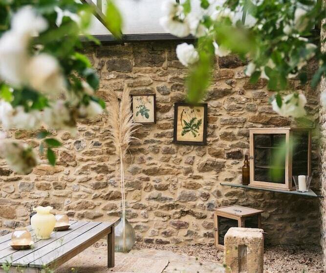 Bed and Breakfast Tomette Singuliere