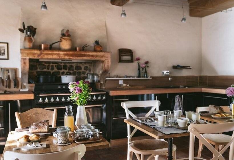 Bed and Breakfast Tomette Singuliere