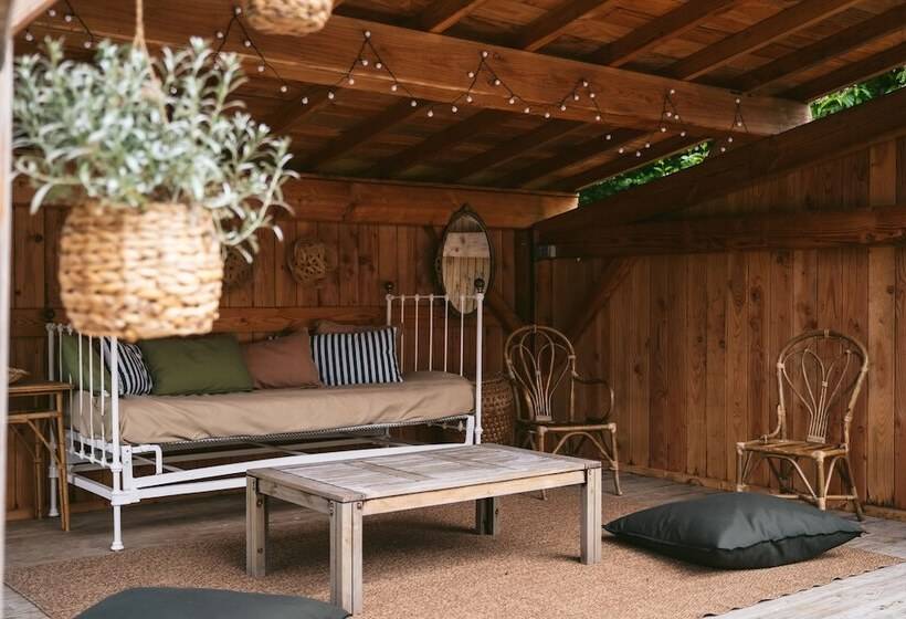 Bed and Breakfast Tomette Singuliere