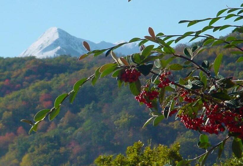 Отель Le Relais Du Bois Perché