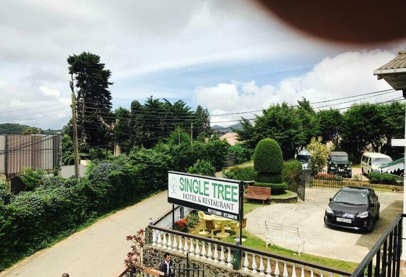 Hotel Single Tree