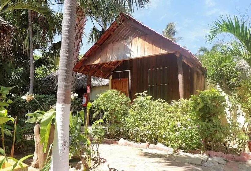 ホテル Bungalows Acuario