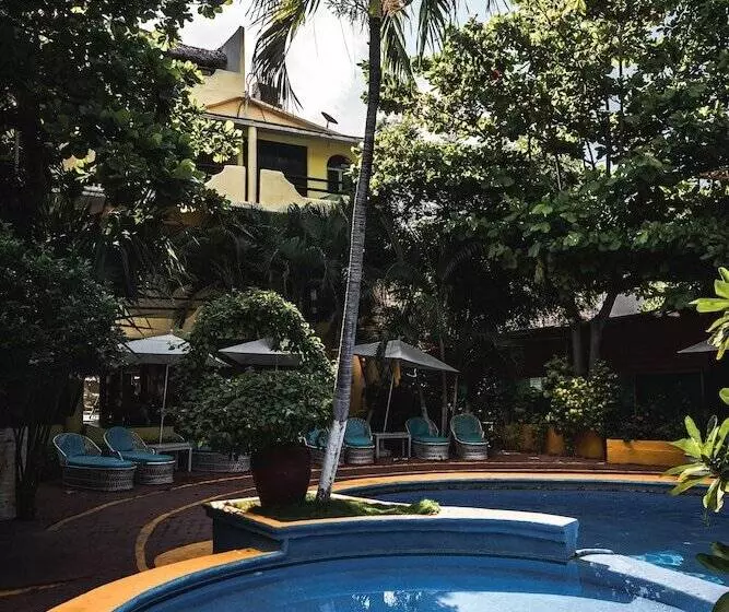 ホテル Bungalows Acuario
