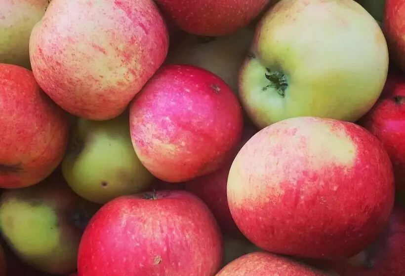 Pensionat Kanalvillan