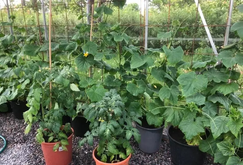 Pensionat Kanalvillan