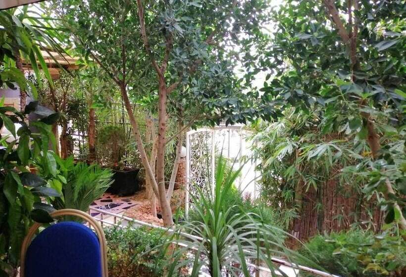 Senhaja Hotel Hostel