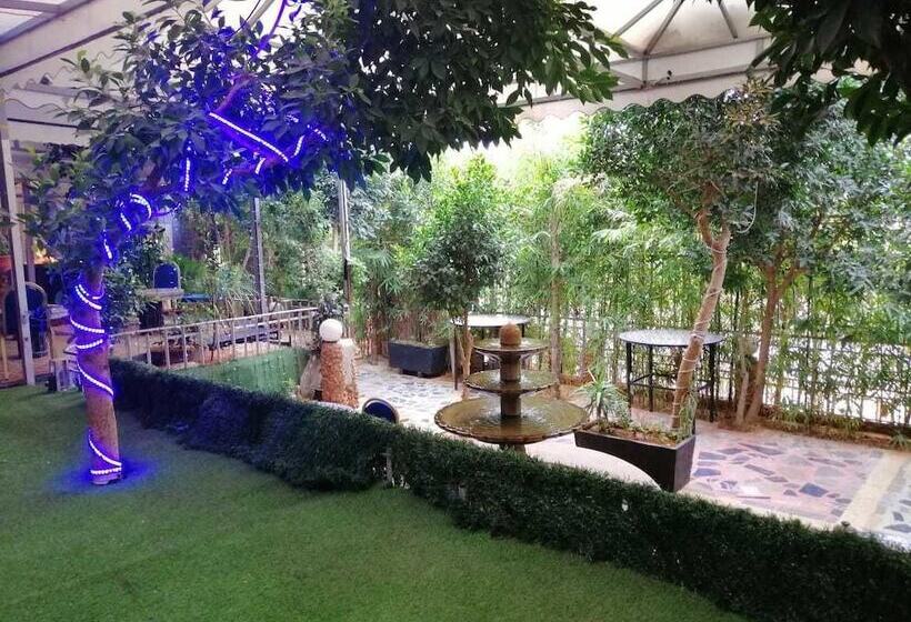 Senhaja Hotel Hostel