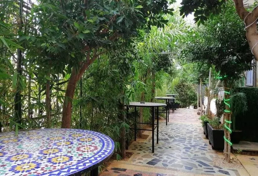 Senhaja Hotel   Hostel