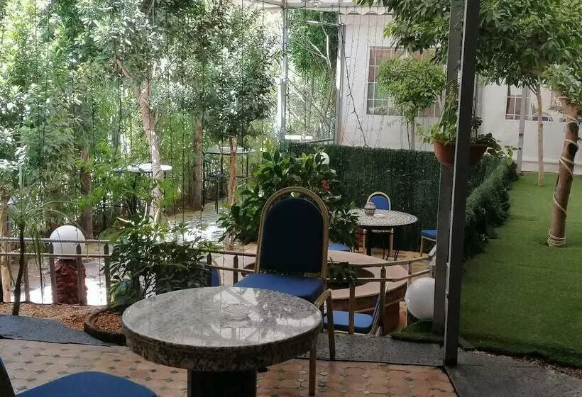 Senhaja Hotel   Hostel