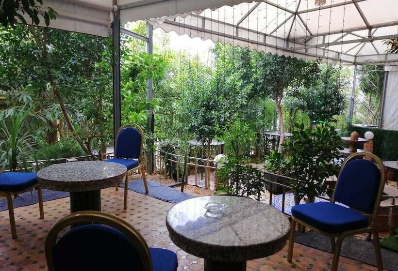 Senhaja Hotel Hostel