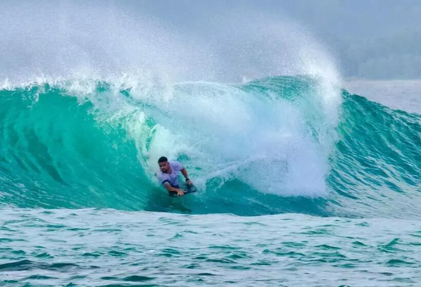 Aamiaismajoitus (B&B) Krui Surfing