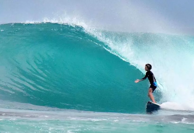 Aamiaismajoitus (B&B) Krui Surfing