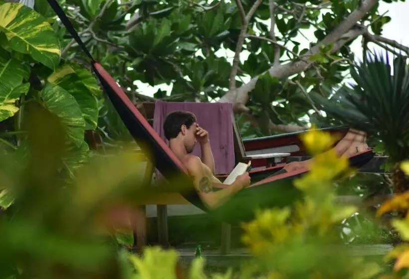 Aamiaismajoitus (B&B) Krui Surfing