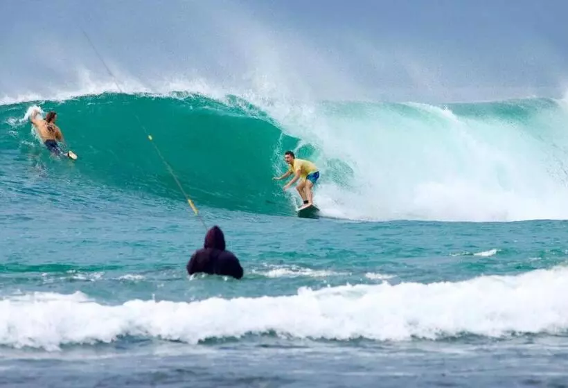 Aamiaismajoitus (B&B) Krui Surfing