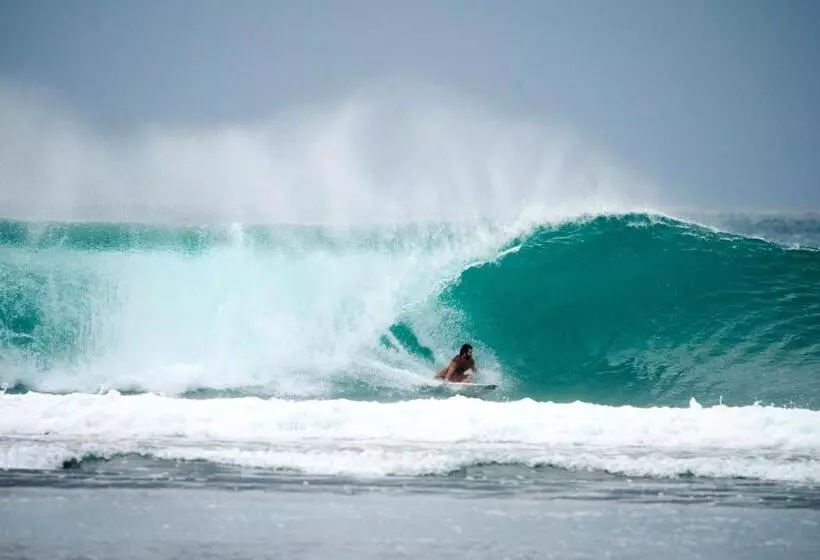 Aamiaismajoitus (B&B) Krui Surfing