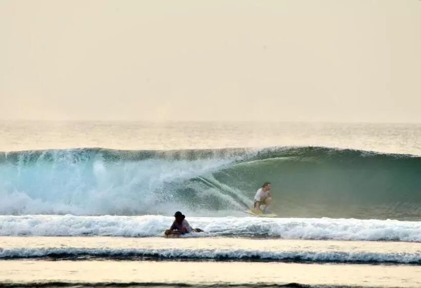 Aamiaismajoitus (B&B) Krui Surfing