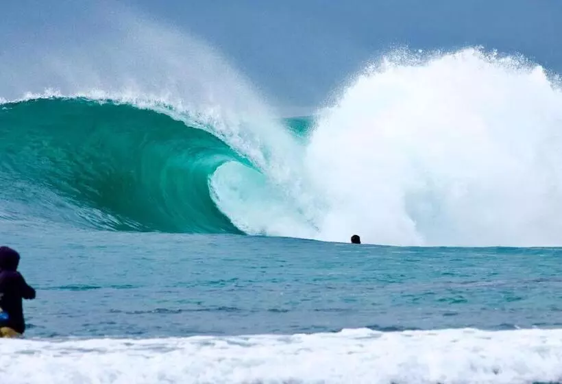 Aamiaismajoitus (B&B) Krui Surfing