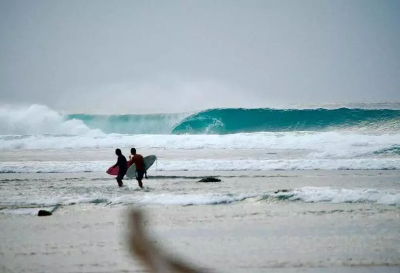 Aamiaismajoitus (B&B) Krui Surfing