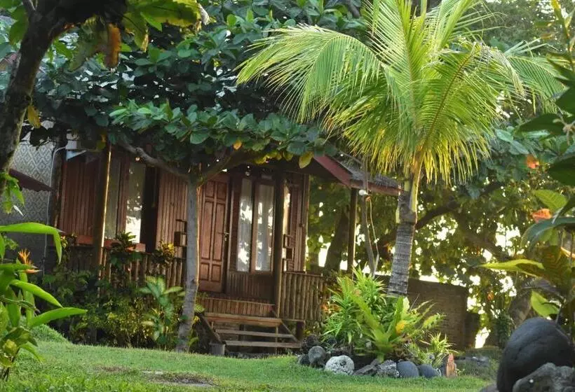 Aamiaismajoitus (B&B) Krui Surfing