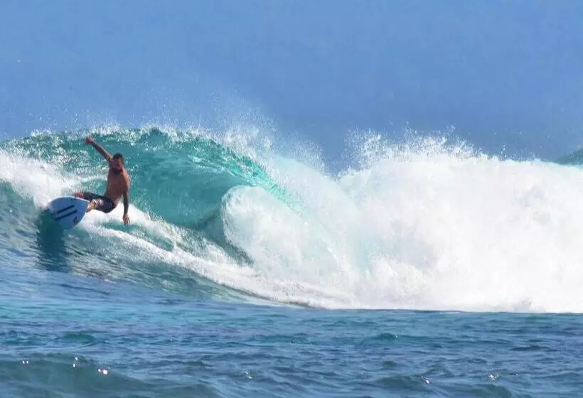 Aamiaismajoitus (B&B) Krui Surfing