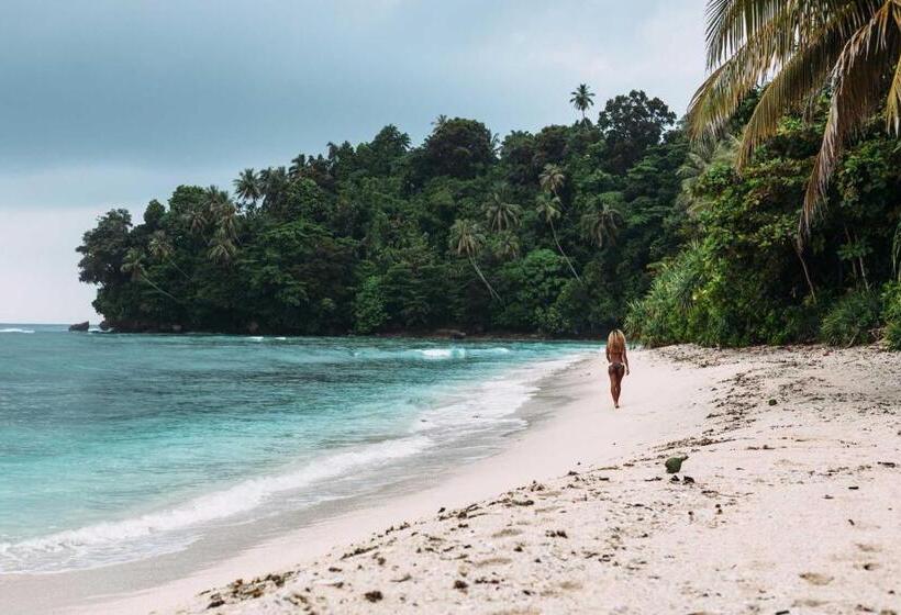 ベッドアンドブレックファースト Krui Surfing