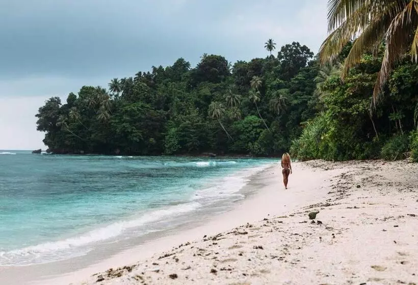 Aamiaismajoitus (B&B) Krui Surfing