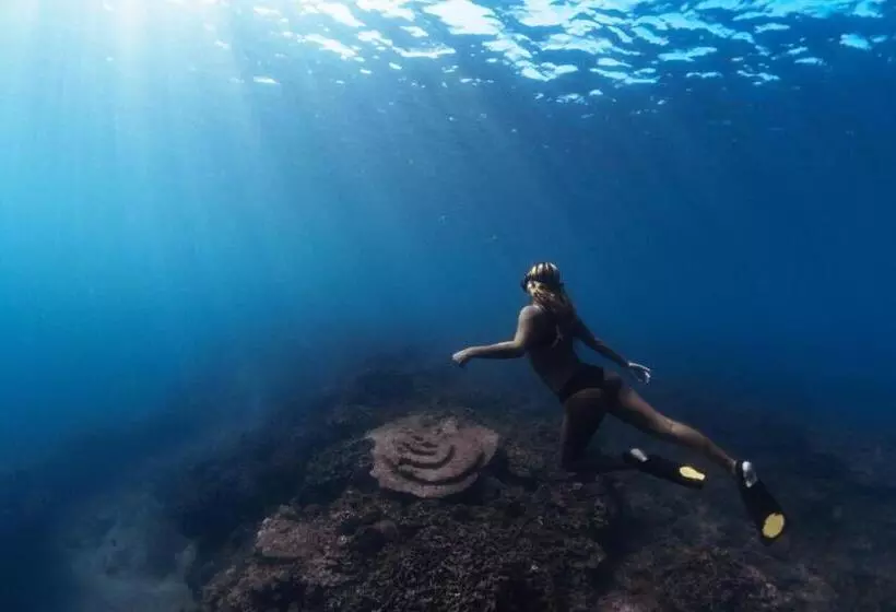 Aamiaismajoitus (B&B) Krui Surfing