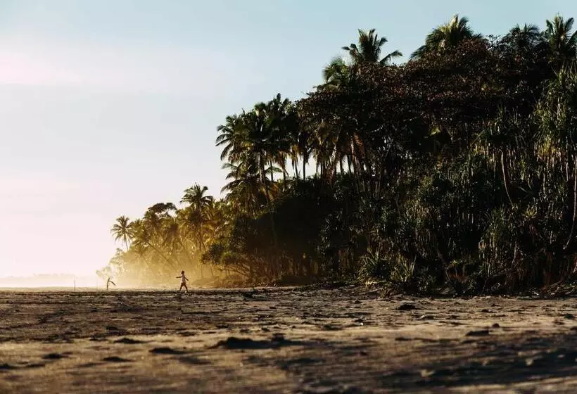 Aamiaismajoitus (B&B) Krui Surfing